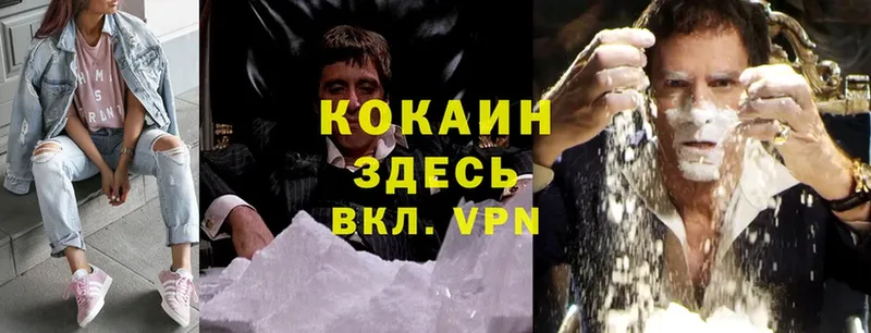 Cocaine VHQ  наркошоп  Карачаевск 